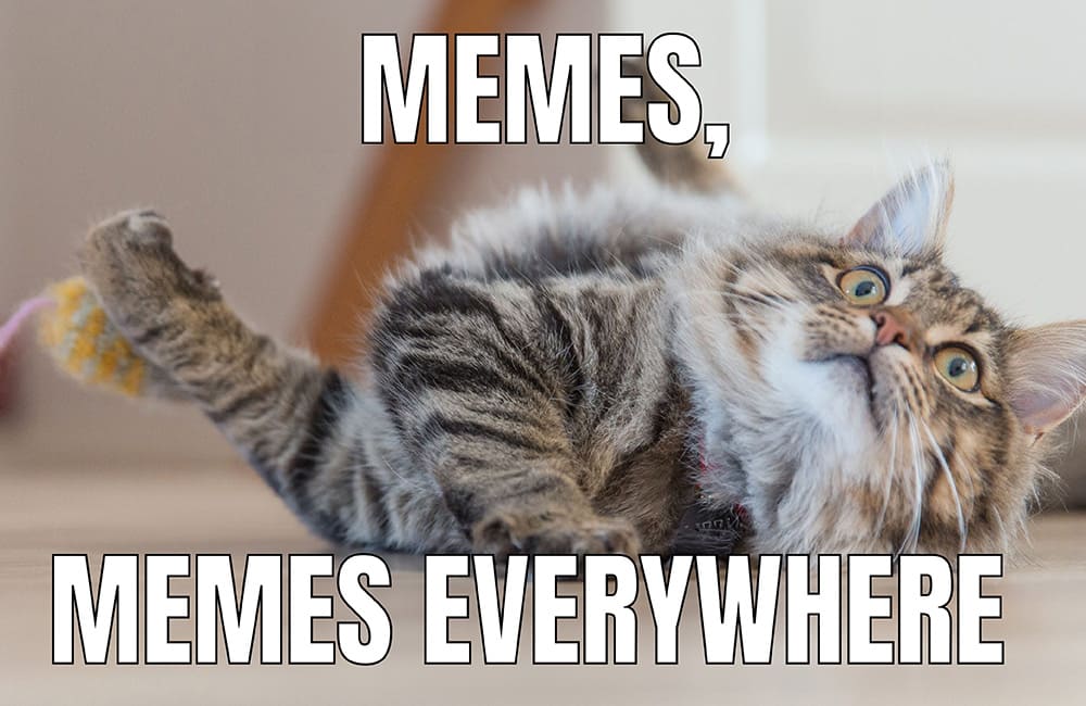 Memes, Memes Everywhere: Turning Cultural Gold into Marketing Wins
