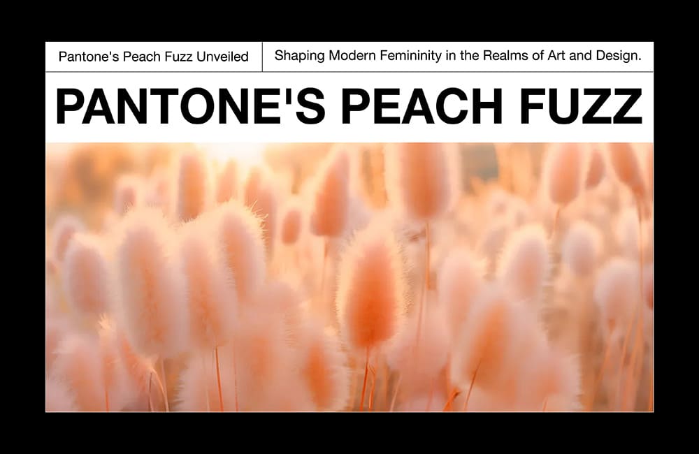 Pantone’s Peach Fuzz Unveiled – Shaping Modern Femininity in the Realms of Art and Design
